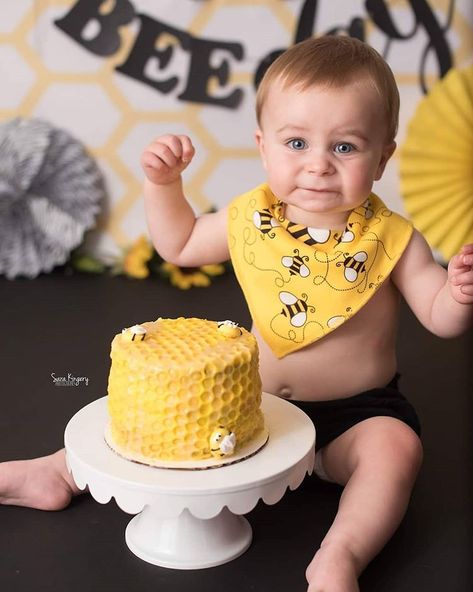 Sara Kingery Photography on Instagram: “This little guy had the best BEE-day! How stinkin' cute is this cake smash theme?! And Mama did an amazing job on the…” Cake Smash Theme, Bee Birthday Party, Smash Cake Girl, Bee Cakes, Birthday Pics, First Birthday Pictures, Bee Day, One Year Birthday, 1st Birthday Party Themes