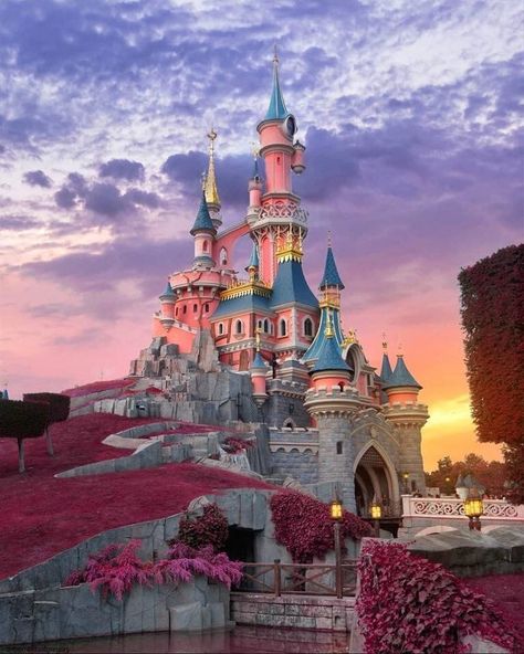 Disneyland Paris, Disneyland, Castle, Paris, Disney, Flowers, Travel, Pink