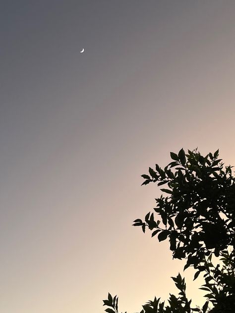 #aesthetic #lua #moon #morning Morning Moon Aesthetic, Moon In The Morning, Moon Morning, Morning Moon, Moon Aesthetic, Cute Tumblr Wallpaper, Moon Pictures, Morning Sky, Tumblr Wallpaper