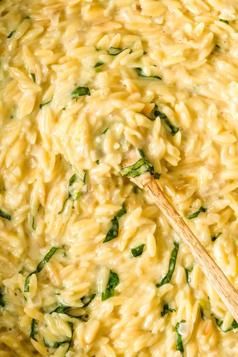 Enjoy this Creamy Orzo Pasta as a quick 20-minute appetizer, side dish, or main. Cream, parmesan, chicken stock, and lemon infuse gorgeous flavors into this easy recipe, leaving you with ultra-cheesy and comforting bites. Lemon Cream Orzo Pasta, Orzo Recipes Side, Creamy Orzo Pasta, Lemony Orzo, Pesto Orzo, Orzo Pasta Recipes, Parmesan Orzo, Creamy Orzo, Lemon Orzo