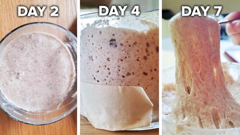 Sourdough Starter Recipe by Tasty Sourdough Starter From Scratch, Make A Sourdough Starter, Making Sourdough Bread, Dough Starter, Sourdough Starter Recipe, Sour Taste, Baking Project, Food Challenge, Delicious Bread