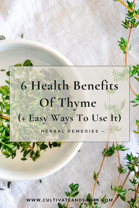 Thyme is a common kitchen herb that provides some powerful health benefits. Get to know more about the health benefits of thyme and some easy ways to use this herb. Thyme Tea Benefits, Health Benefits Of Thyme, Benefits Of Thyme, Thyme Benefits, Thyme Uses, Apothecary Ideas, Thyme Tea, Herbs Medicine, Medicinal Herb Garden