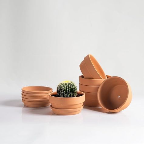 Shallow Terracotta Pots 5 inch, Pack of 6 Clay Pots for Plants with Drainage Holes and Saucers, Mini Nursery Plant Pots for Seed, Succulents, Cactus, Indoor,Outdoor Clay Pots For Plants, Mini Nursery, Cactus Indoor, Nursery Plant, Clean Flowers, Pots For Plants, Moss Ball, Planting Pots, Water Movement