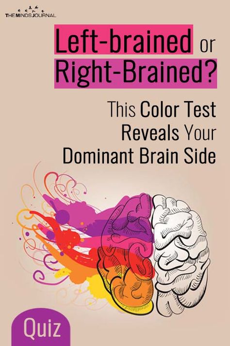 Brain Booster, Intelligence Quizzes, Left Brain Right Brain, Brain Quiz, Brain Enhancement, Brain Test, Interesting Quizzes, Brain Facts, Brain Art