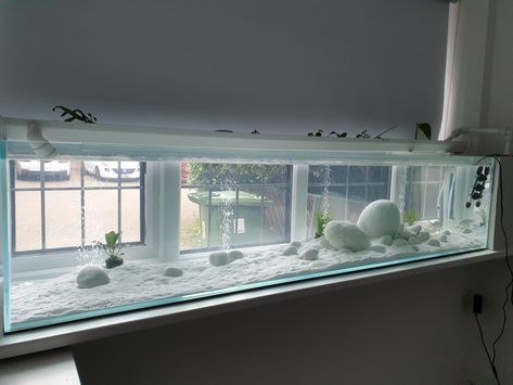 White Fish Aquarium, White Fish Tank Decor, White Fish Tank, Japanese Aquarium, Angel Fish Tank, Cool Fish Tank Decorations, Turtle Tank Setup, Turtle Aquarium, Fish Tank Themes