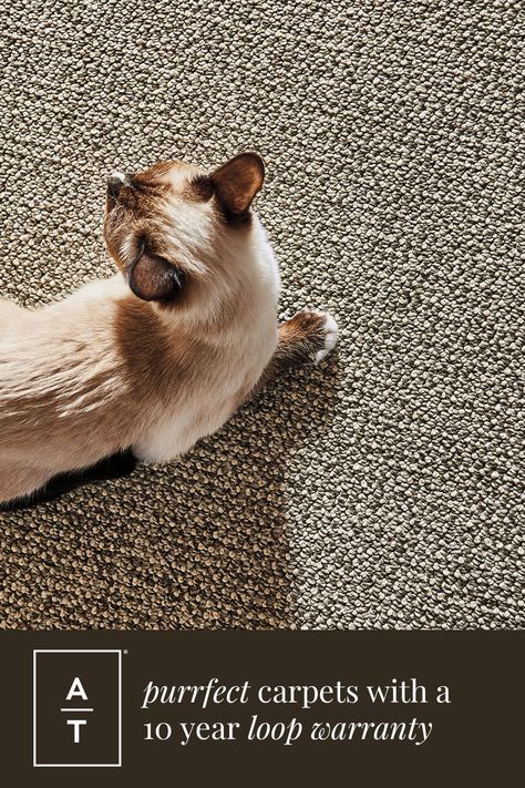 Tuftex Carpet, Pet Friendly Flooring, Indoor Outdoor Carpet, Commercial Carpet, Carpet Styles, Best Carpet, Stair Runner, Modern Carpet, Berber Carpet