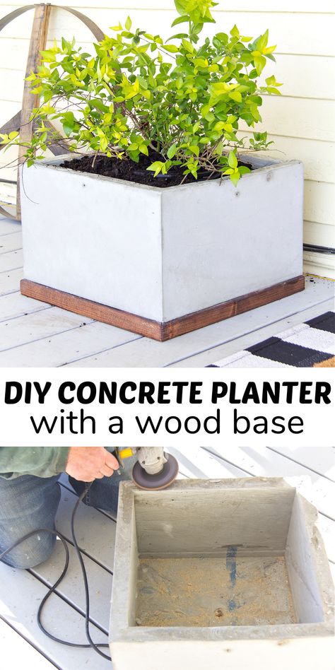 Planter Box Diy, Concrete Succulent Planters, Concrete And Wood, Zen Rock Garden, Succulent Planter Diy, Zen Rock, Diy Concrete Planters, Wooded Landscaping, Diy Planter Box