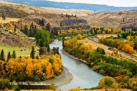 *🇺🇸 Fall Colors (Upper Yakima River Canyon, Washington) by Steve G. Bisig  🍂 Pacific Northwest Landscape, Washington Adventures, Oregon Pictures, Yakima Washington, Nature Retreat, Yakima Valley, Washington State Travel, River Canyon, Fine Art Landscape Photography