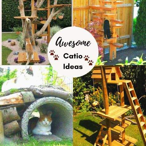 Outdoor Cat Playground Play Areas - HubPages Aesthetic Cat House, Catio Ideas Cat, Cat Proof Balcony, Outdoor Cat Tree, Catio Plans, Cat Play Area, Catio Ideas, Diy Cat Enclosure, Katt Diy