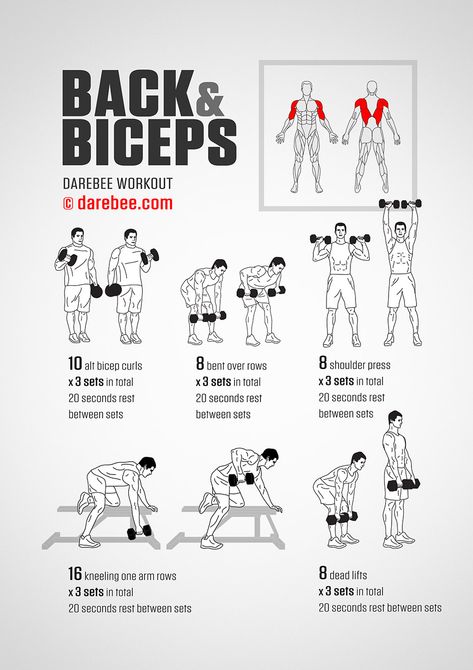 Back & Biceps Workout Back And Biceps Workout, Heathly Recipes, Back And Bicep Workout, Beginner Pilates, Dumbbell Workouts, Fitness Studio Training, Bicep Workout, Trening Sztuk Walki, Morning Workouts