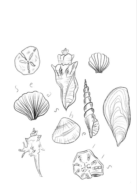 art by: madison cosley #seashell #summer #shellart #doodle #linedrawing #sea #beach #beachart Sea Turtle Line Drawing, Seashell Art Drawing, Seashell Drawing Simple, Shell Drawing Simple, Simple Seashell Tattoo, Shell Doodle, Seashell Sketch, Summer Line Art, Sea Shell Tattoo