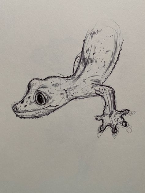 Gecko Sketch, Leaf Tailed Gecko, Gecko, Sketch, Collage, Drawings, Pins