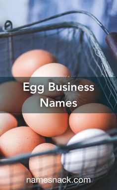 10 fresh name suggestions for an egg business. Cute Business Names, Egg Business, Egg Restaurant, Catchy Business Name Ideas, Egg Names, Selling Eggs, Shop Name Ideas, Free Logos, Egg Shop