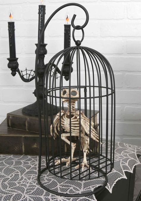 Bird In Cage, Halloween Skeleton Decorations, Easy Diy Halloween Decorations, Casa Halloween, Halloween Centerpiece, Halloween Collectables, Horror Decor, Fun Halloween Decor, Halloween Store