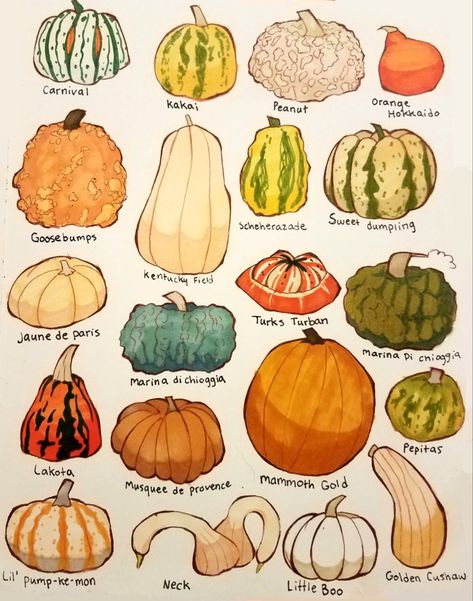 Pumpkins, every shape and size 🙂 Love Through Art, Scrapbook Printing, Fan Theories, Watercolor Fruit, Making Stuff, Show Love, Art Prompts, Fruit Art, Food Drawing