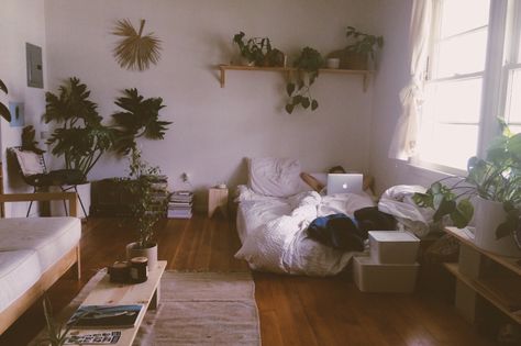 ✨pinterest // tumblr: anotherfemaleartist✨ Lots Of Plants, Bedroom Plants, Aesthetic Rooms, Bedroom Vintage, Bedroom Aesthetic, Dream Rooms, Aesthetic Bedroom, Dream Bedroom, Bedroom Inspo