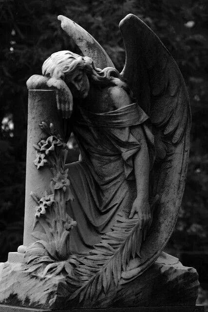 Angel Arte Pin Up, Cemetery Angels, Cemetery Statues, Istoria Artei, Greek Statues, Angel Statue, Angel Sculpture, Cemetery Art, Angel Statues