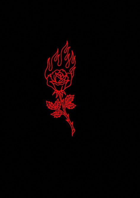 Rose On Fire, On Fire, Black Background, Writing, Red, Black