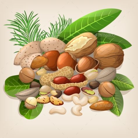 Nuts Graphic Design, Nuts Product Photography, Nuts Vector, Nuts And Seeds Photography, Farmer Painting, World Vegetarian Day, Classroom Background, Raw Nuts, Green Icons