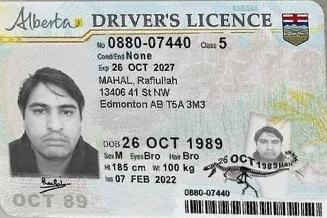 Fake Certificates, Passport Online, Driver License, Certificates Online, New Photo Download, Driving License, Birth Certificate, Photo Download, Photo To Video