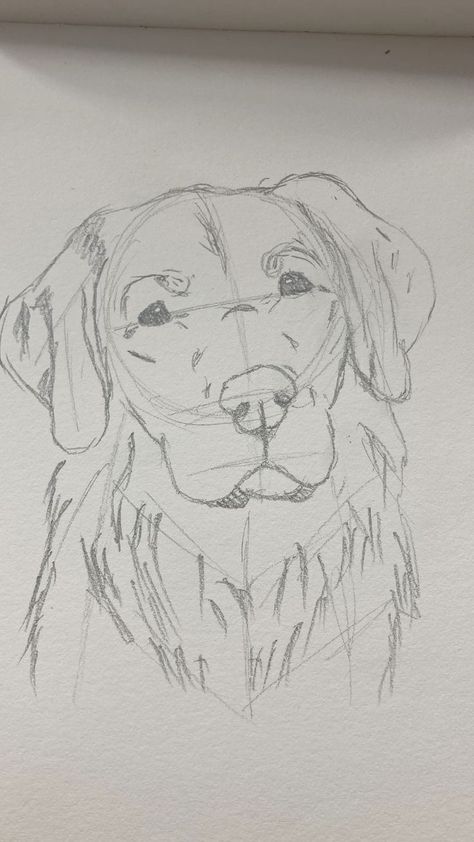 Sketch Book Animal, Sketch Of Golden Retriever, Golden Retriever Doodle Drawing, Golden Retriever Simple Drawing, Dogs Drawing Sketches, Realistic Dog Sketch, Drawing Of Dogs Sketches, How To Sketch A Dog, Golden Retriever Watercolor Easy