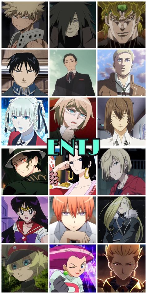 Entj Anime Characters, Entj Characters, Anime Mbti, Explorers Mbti, Personality Database, Diy Backyard Movie Night, Intj Characters, Personality Archetypes, Entj Personality