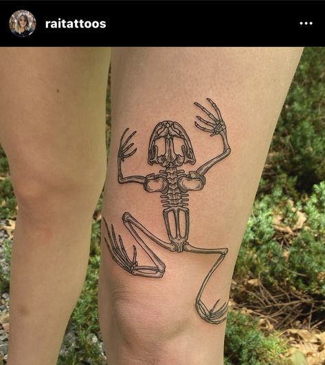 Frog Skeleton, Antler Tattoos, Ephemeral Tattoo, Bats Tattoo Design, Ignorant Style Tattoo, Skeleton Tattoo, Bone Tattoos, Bat Tattoo, Frog Tattoos