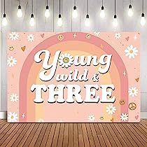 70s Theme Party Decorations, Pink Birthday Backdrop, Third Birthday Girl, 70s Theme Party, 70s Theme, Young Wild And Three, Girls 3rd Birthday, Birthday Party Background, 3rd Birthday Party