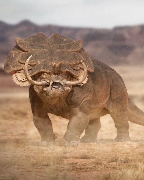 Great Warriors, Nasal Cavity, Desert Animals, Creature Artwork, Alien Concept, Fantasy Beasts, Alien Concept Art, Monster Concept Art, Alien Creatures