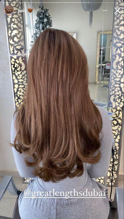 Light Brown Hair With Caramel Highlights Balayage, Caramel Brown Hair Aesthetic, Brown Golden Hair Color, Caramel Brown Hair Straight, Chestnut Blonde Hair Color, Hazelnut Light Brown Hair, Hazelnut Hair Color Brown With Highlights, Nutmeg Brown Hair, Solid Caramel Hair