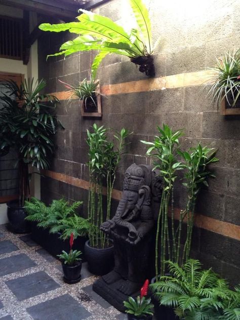 Tropical Courtyard, Bali Garden, Balinese Garden, Buddha Garden, Vertical Vegetable Garden, Meditation Garden, Courtyard Design, Asian Garden, Magic Garden