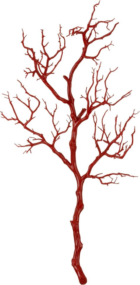 Red Branch  | Crate and Barrel Red Branches, Stick Arrangements Branches, Vase With Tall Branches, Stick Arrangements Branches Vase, Twigs And Branches Decor Vase, Painted Branches, Red Spray Paint, Branch Art, Nature Projects