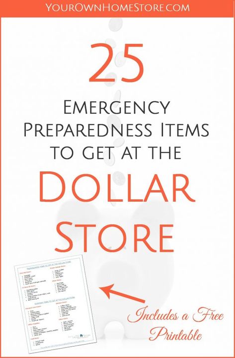 72 Hour Emergency Kit, Emergency Preparedness Items, Emergency Preparedness Food Storage, Family Emergency Binder, Emergency Binder, Emergency Prepardness, Emergency Preparedness Kit, Family Emergency, Emergency Preparation