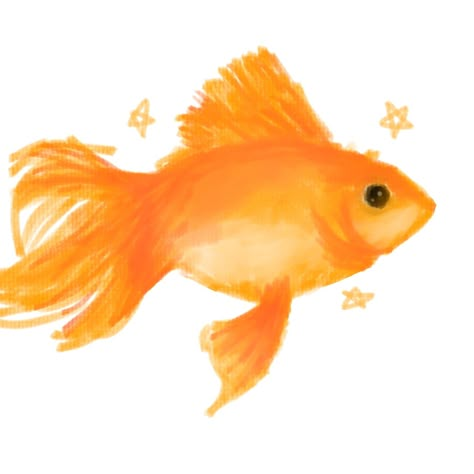 Goldfish drawing Goldfish Icon, Orange Icons:), Fish Icon, Cute Wallpapers For Ipad, Comic Book Art Style, Orange Fish, Png Aesthetic, Wallpaper Doodle, Cute Headers