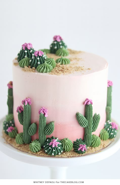 Cactus Cake Ideas, Taco Cake, Edible Sand, Cactus Cake, Cake Blog, Buttercream Flowers, 25th Birthday, Cake Tutorial, Food Cakes