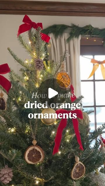 FastGrowingTrees on Instagram: "You can make colorful festive decor using fruit from your citrus trees! Here’s how to make dried orange ornaments:

1️⃣ Cut 4-5 oranges into 1/4” thick slices
2️⃣ Bake for 6 hours at 170 degrees, checking the oranges occasionally and turning them over
3️⃣ Use a large needle or toothpick to poke holes in the meat of the orange. String on fishline, twine, or or use an ornament hook to attach them to your tree.
4️⃣ Enjoy! 🍊🌲
.
.
.
#driedorangedecorations #driedoranges #oranges #diychristmasdecor #diychristmas #diychristmasornaments #driedfruitchristmas #driedorangeslices #citrus #christmastrees #christmastreedecorations #fastgrowingtrees" Dried Orange Ornaments, Orange Ornaments, Dried Oranges, Orange Decor, Fast Growing Trees, Citrus Trees, Ornament Hooks, Dried Orange Slices, Festive Decor