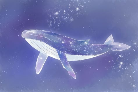 Purple Whale, Space Whale, Cute Laptop Wallpaper, Aesthetic Purple, Music On Spotify, Cute Whales, Cute Desktop Wallpaper, Whale Art, Wallpaper Laptop