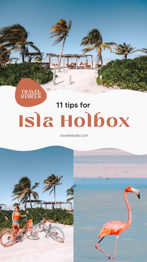 Isla Holbox is a stunning tropical island with pristine white beaches, vibrant street art, and a relaxed vibe. Here, you’ll escape the world and fully enjoy the moment, whether you're sipping cocktails at a beach club, lounging in a hammock or snorkeling with whale sharks and turtles. With cars not allowed, you'll see people getting around on bicycles or golf carts. It’s the perfect spot to unwind, soak up the sun, and get a lovely tan. Welcome to one of Central America’s most relaxing islands! Holbox Island Mexico, Hidden Beach Mexico, Isla Verde Beach Puerto Rico, Surfing In Mexico, Holbox Island, Isla Holbox Mexico Hotels, San Blas Islands, Beautiful Streets, Island Tour