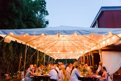 Private Home Wedding, Mclean Virginia, Event Tents, Wedding Tents, Wedding At Home, Home Weddings, Ceremony Chairs, Private Estate Wedding, Tented Wedding