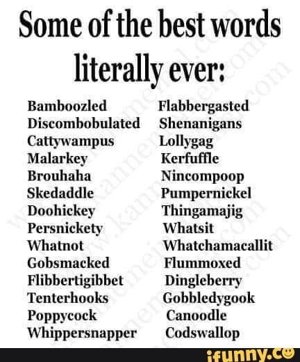 Words To Use Instead Of Curse Words, Words For Angry, Horse Diving, Words To Use Instead, Writing Childrens Books, Paperback Writer, Proper English, Write Better, Grammar Humor