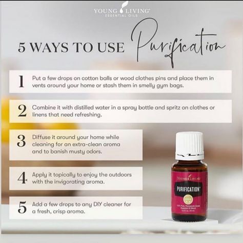 Purification Essential Oil Young Living, Essential Oils Purposes, Purification Essential Oil, Summer Essential Oils, Young Living Recipes, Essential Oil Usage, Essential Oils Collection, Essential Oils 101, Young Living Essential Oils Recipes