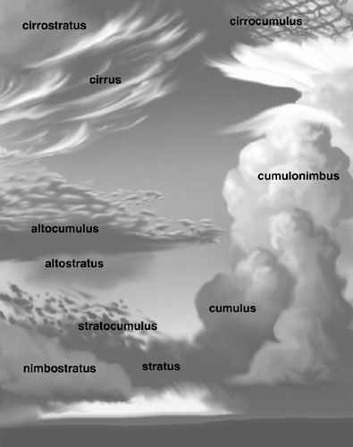 Cloud types--for my meteorological friends. Cloud Types, Cloud Type, Wild Waters, Meteorology, Homeschool Science, To Infinity And Beyond, Natural Phenomena, Sky And Clouds, Earth Science