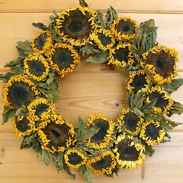 Dried Sunflower Wreath, Dried Sunflowers Ideas, Flower Weaving, Sunflower Heads, Dried Sunflowers, Symbol Of Happiness, Sunflower Head, Sunflower Crafts, Sunflower Arrangements