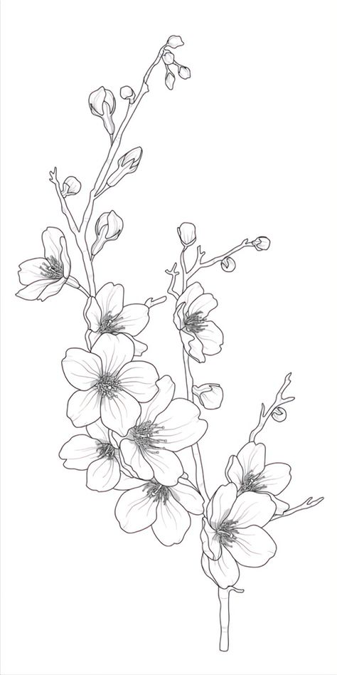 Draw Sakura Flower, Cherry Blossom Drawing, Sakura Tattoo, Orchid Tattoo, Flower Line Drawings, Blossom Tattoo, Cherry Blossom Tattoo, Flower Drawings, Flower Art Drawing