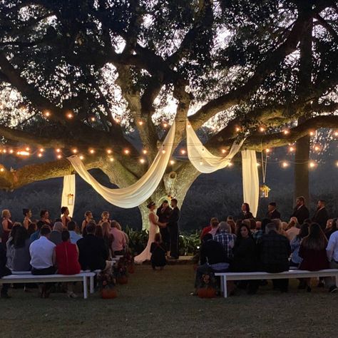 Tree Lanterns Wedding, Tree Draping Wedding, Wedding Under Oak Tree, Golden Hour Wedding Ceremony, Wedding Ceremony Under Tree, Wedding Under Tree, Wedding Under Trees, Under Oak Tree, Oak Tree Wedding Ceremony