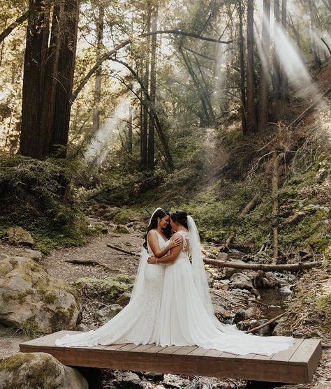 forest wedding gay lesbian woods cottagecore forestcore green by @/ sethand.co Cottagecore Lesbian Wedding, Woods Cottagecore, Twilight Wedding, Mountain Wedding Photos, Sf Wedding, Enchanted Forest Wedding, Bay Area Wedding, Lesbian Wedding, Saratoga Springs