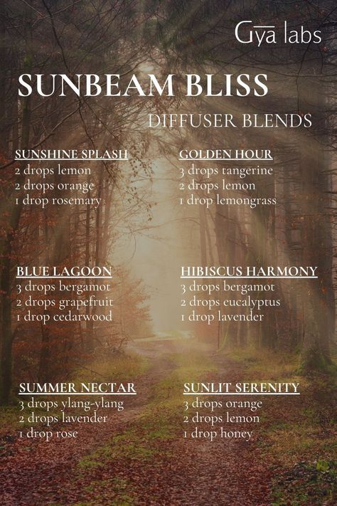 Sunbeam Bliss Essential Oil Spray Recipes, Essential Oil Roller Bottle Recipes, Essential Oil Diffuser Blends Recipes, Essential Oil Diffuser Recipes, Oil Diffuser Recipes, Essential Oil Blends Recipes, Diffuser Blend, Diffuser Recipes, Essential Oil Diffuser Blends