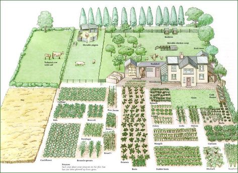 Garden Planing, Homestead Layout, Acre Homestead, Farm Plans, Farm Layout, Homestead Gardens, Garden Design Layout, Mini Farm, Landscape Design Plans