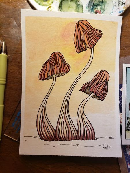 Jamur Art, Tone Drawing, Orange Sketch, Sketch Book Cover, Draw Nature, Art Mushrooms, Aesthetic Paintings, Medieval Manuscripts, Portrait References