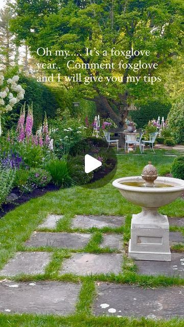 Ann Ludwig Scanlon on Instagram: "I just finally finished mulching and writing a blog post on what is planted this year in this cottage garden bed.  But boy did the foxgloves take over. I have a post on all my tips on foxgloves comment foxglove and subscribe to the blog to get the plant list in your inbox.  #cottagegarden #cottagegardenstyle #cottageflowers #cottagegardenflowers #inmygarden #gardens #gardensofinstagram #inmygardentoday #betterhomesandgardens #cottagesandbungalows #gardengate #gardengatemagazine #foxglove" Cottage Garden Bed, Border Flowers, Landscaping Around House, Writing A Blog, Garden Border, Cottages And Bungalows, Cut Flower Garden, Plant List, Garden Borders